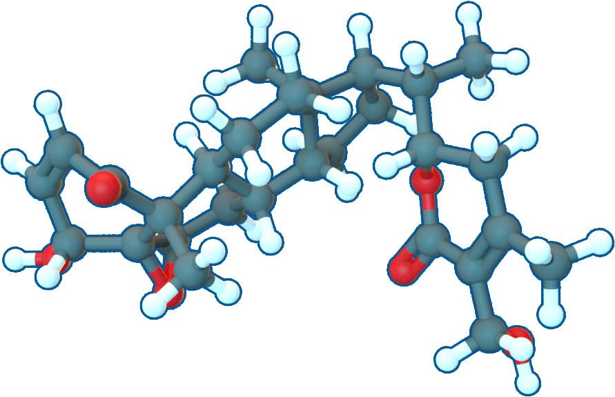 Image of Withaferin A | C28H38O6 | Supreme Pharmatech